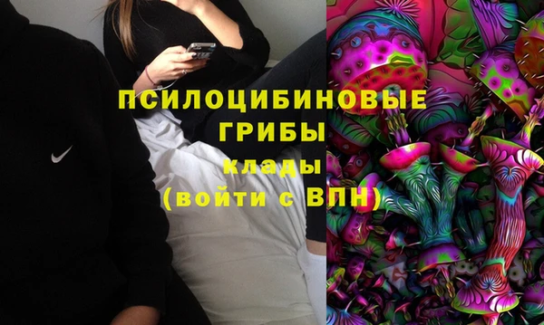 Альфа ПВП Алзамай