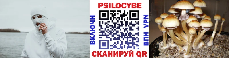 хочу наркоту  Олонец  ОМГ ОМГ зеркало  Псилоцибиновые грибы прущие грибы 